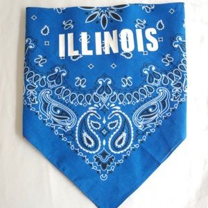 University of Illinois Bandana Crop top